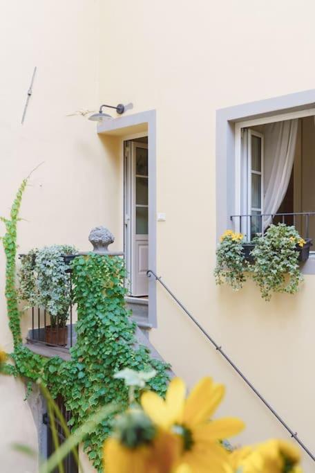 Corte Paolina - Charming Courtyard Inside Lucca Exteriér fotografie