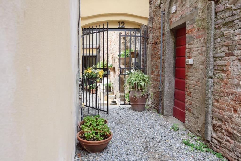 Corte Paolina - Charming Courtyard Inside Lucca Exteriér fotografie