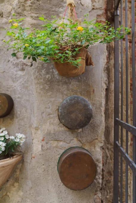 Corte Paolina - Charming Courtyard Inside Lucca Exteriér fotografie